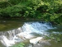 Sharon Woods Gorge Trail Evening Hike!