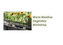 Warm Weather Vegetable Container Garden Workshop