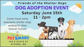 Dog Adoption Event