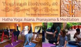 Two Week Hatha Yoga Immersion: Asana, Pranayama & Meditation Residential Course 2025 Feb 27 – March 14