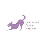 Beginners Guide to Canine Massage