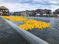 Margate Duck Derby 2024