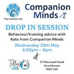 Behaviour/Training Advice with Companion Minds