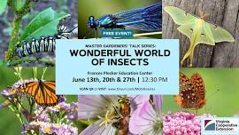 Wonderful World of Insects Part 1!