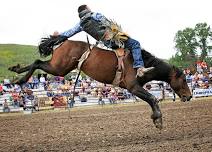 Belt PRCA Rodeo