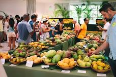 mango festival