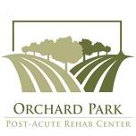 Orchard Park Rehab Car Show & Carnival