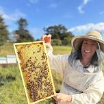 Varroa group mentor session