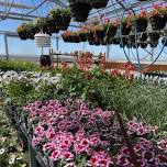 Day 2 of 3 - FFA Spring Plant Sale - Flower Friday