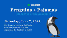 Penguins + Pajamas  Sleepover at the Academy