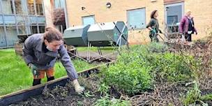 Frome Medical Practice garden tour