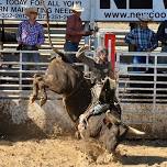 Extreme Bull Riding