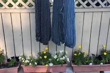 June 14, 2024: Planning a Dye Garden