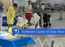 2024 Sunflower Cluster Dog Show