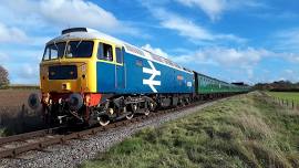 Diesel Gala