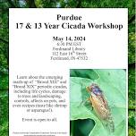 Cicada Presentation