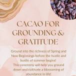 Cacao for Grounding and Gratitude — Santa Fe Community Yoga Center