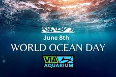 World Ocean Day - Via Aquarium - June 8th