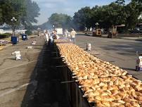 Annual Clear Lake Lions Club Chicken BBQ