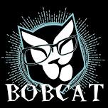 Bobcat: The One Man Band (Long Island, NY) | The Woodcellar