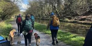 Evening walk - Bradford-on-Avon and Avoncliff | 5km (Women only)