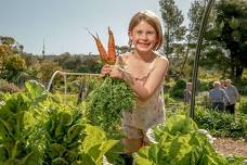 Sprouts Club - after school gardening program