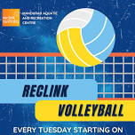 Reclink Volleyball