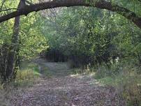 Murphy-Hanrahan Park, Monday Morning Hike