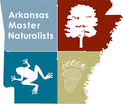 The Great Outdoors Presented by the Master Naturalists