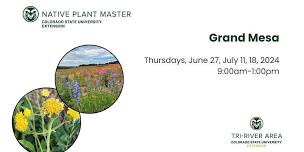 Colorado Native Plant Master: Grand Mesa