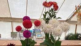 Hartland Garden Society Summer Show