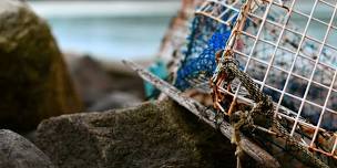 Crabbing at the Dock with The Wetlands Institute (Summer)