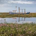 Saltmarsh and Sea Lavender