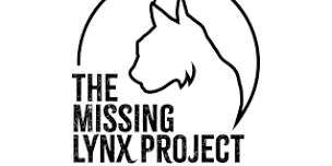 The Missing Lynx Exhibition - Hexham Abbey 19:15