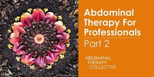 Abdominal Therapy for Practitioners, Part 2