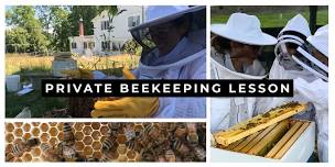 Private Beekeeping Lesson