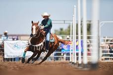 Gilroy Junior Rodeo