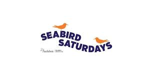 Seabird Saturdays