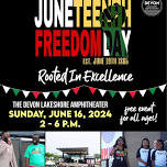 Juneteenth Freedom Day - Rooted in Excellence