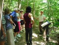 Guided Woodland Hikes