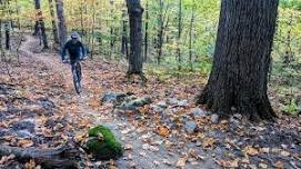 National Trails Day: Grand Opening of   Shared-Use Trail at Hickory Ridge Preserve