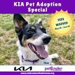 Kia Pet Adoption Special