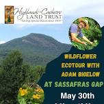 Wildflower EcoTour with Adam Bigelow