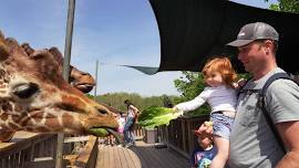 Father’s Day at Elmwood Park Zoo