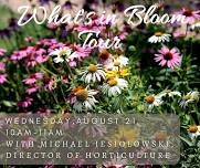 What’s In Bloom? Tour