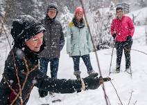 Guided Snowshoe: Tree Trail