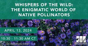 Whispers of the Wild: The Enigmatic World of Native Pollinators