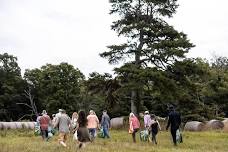 L'Auberge Foraging Classes