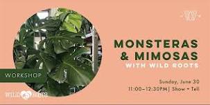 Monsteras and Mimosas workshop with Wild Roots