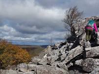 Duncan Knob & Strickler Knob (9.5 miles, 2066 ft, strenuous)